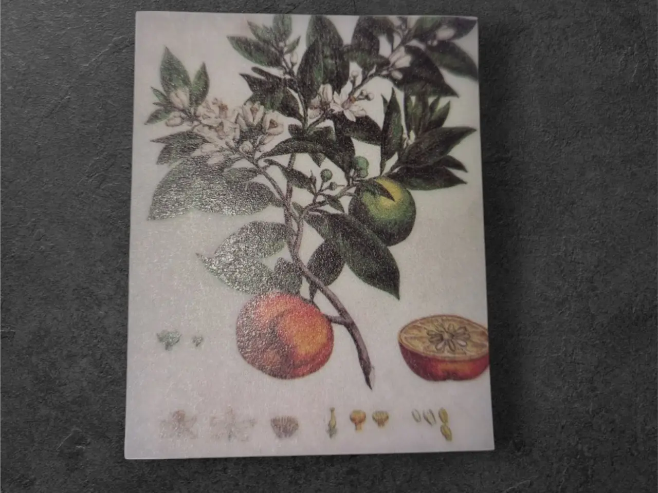 Billede 1 - Solrige papirark med livligt citrustræ-design