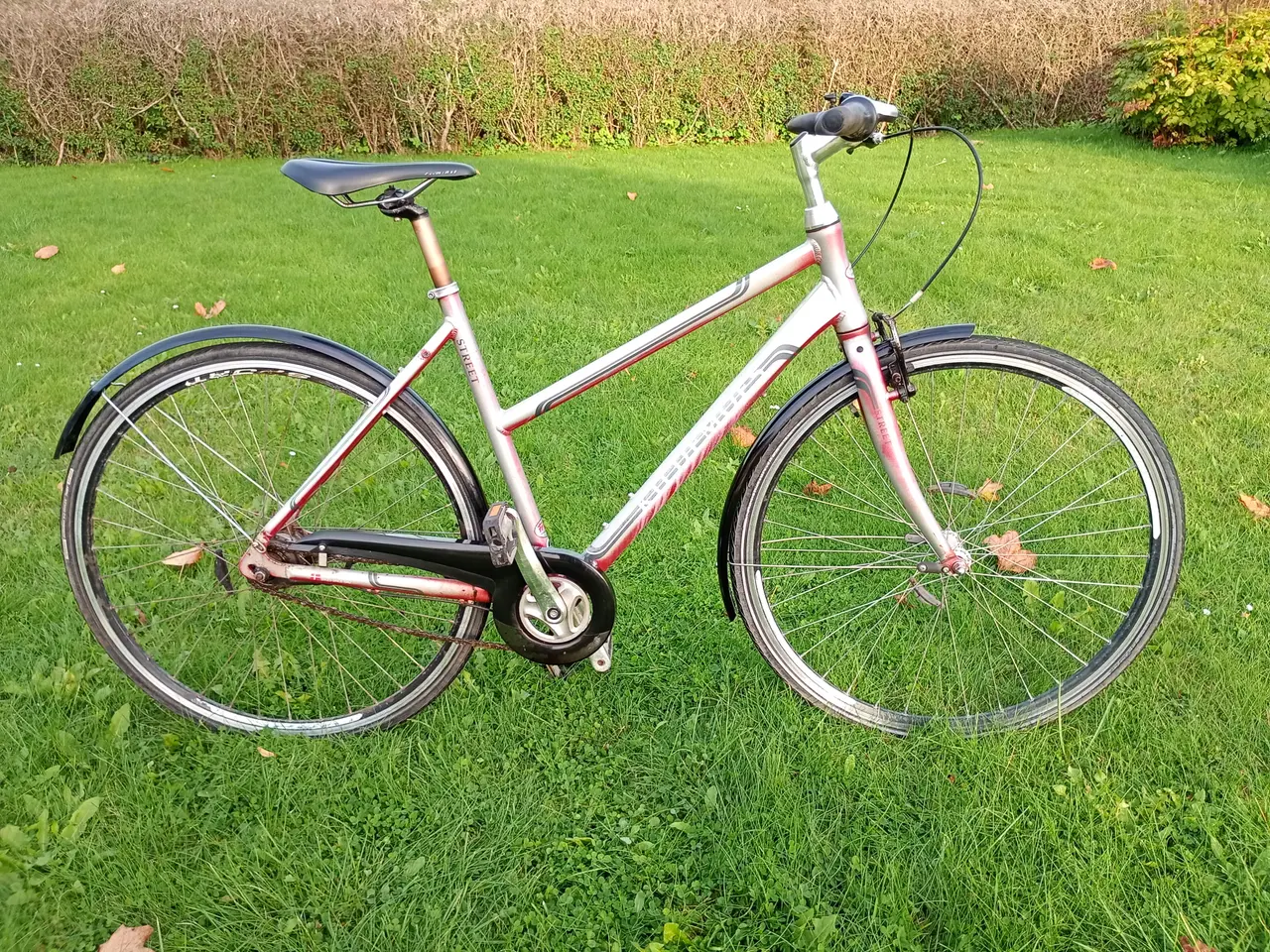 Billede 2 - Kildemoes - Citybike