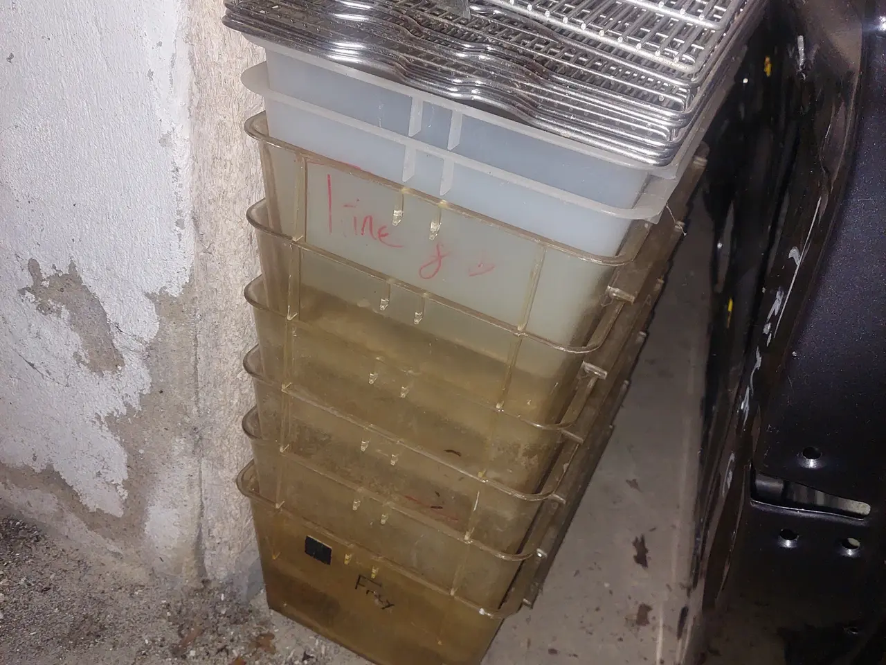 Billede 2 - 10+ Labbure labratoriebur type 3 NY PRIS