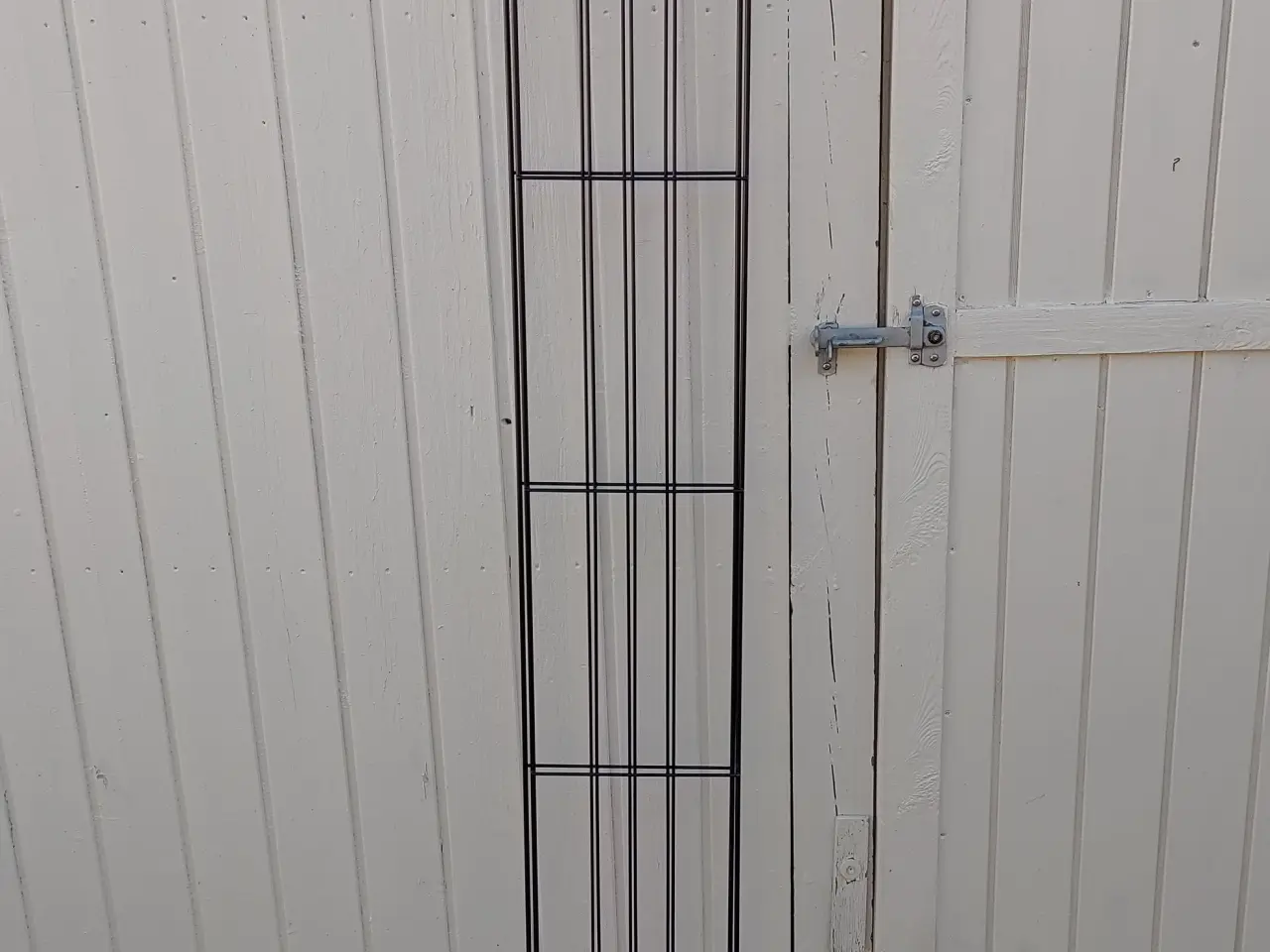 Billede 1 - Haveespalier, todelt!
