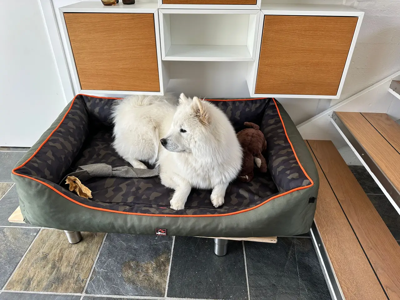 Billede 1 - Lækker stor hundekurv