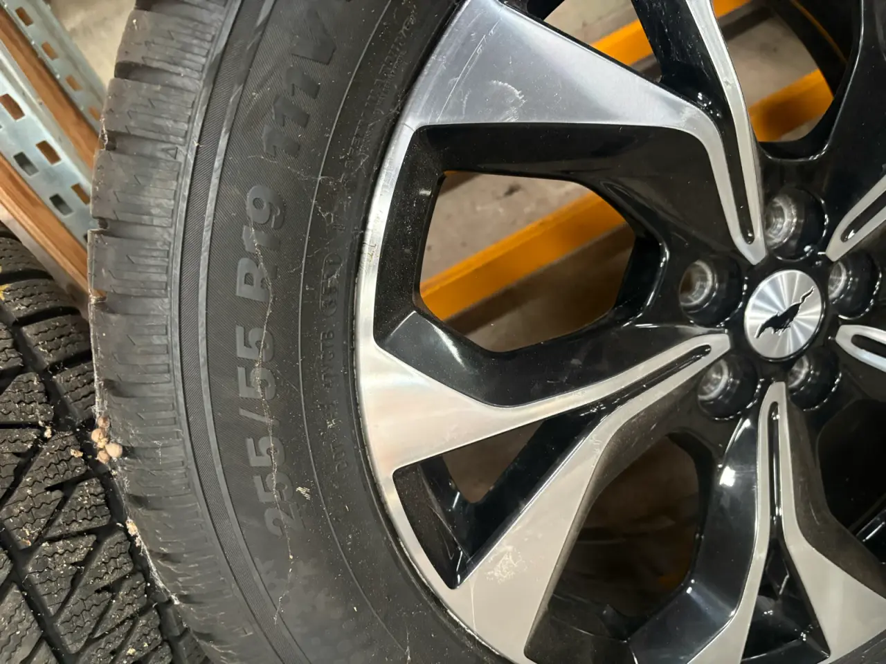 Billede 6 - Ford Mustang e alufælge med vinter dæk