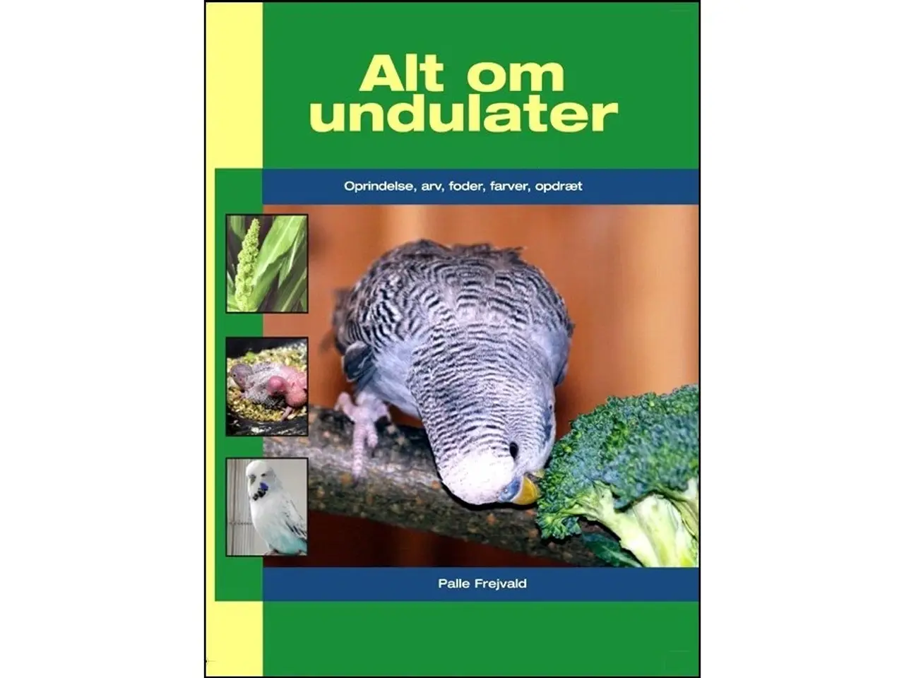 Billede 1 - Alt om Undulater
