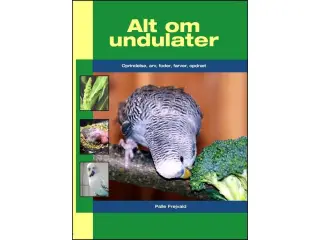 Alt om Undulater