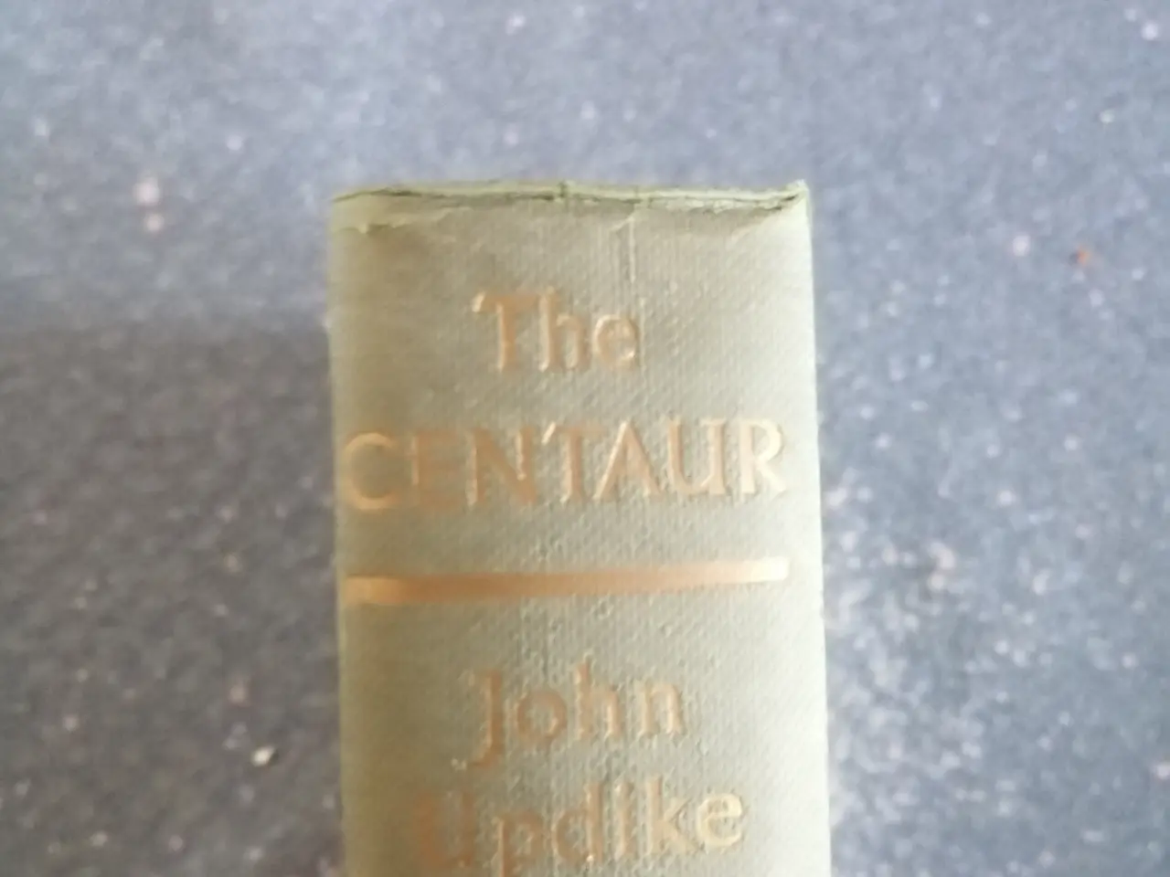 Billede 1 - John Updike - The Centaur