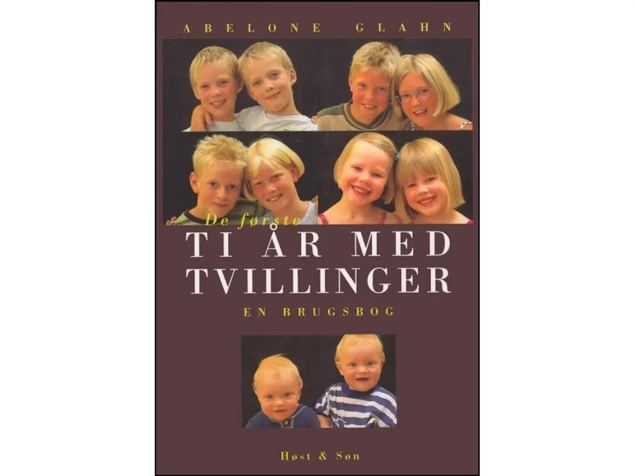 Billede 1 - De første ti år med Tvillinger - en brugsbog