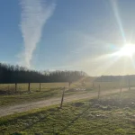 kandispigen1702