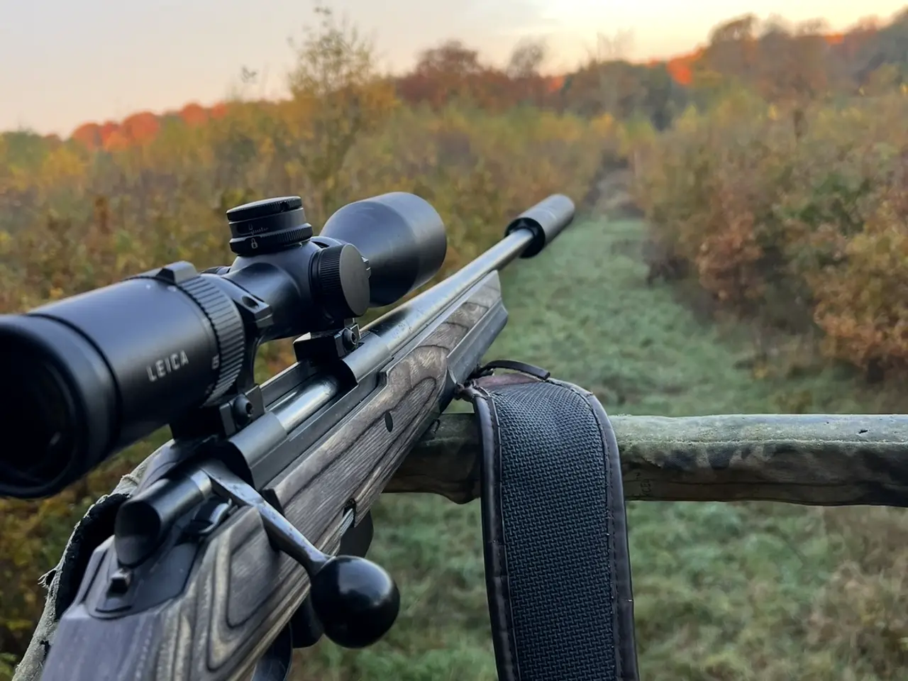 Billede 1 - Tikka m558 308w