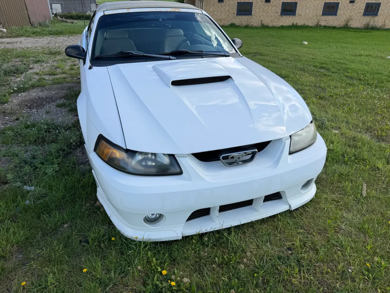 Billede 4 - Mustang 4.6 v8