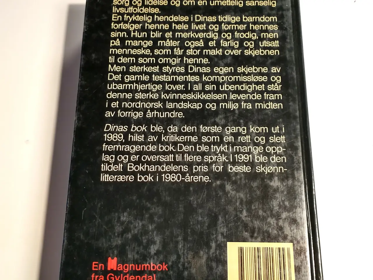 Billede 2 - Dinas bok (Norsk). Af Herbjorg Wassmo