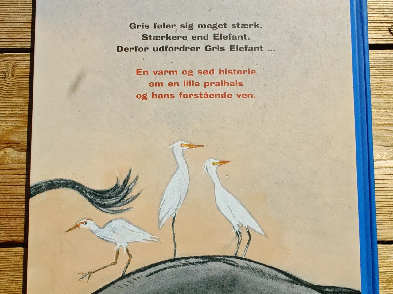 Billede 2 - Jeg er den STÆRKESTE BOG af Jan De Kinder