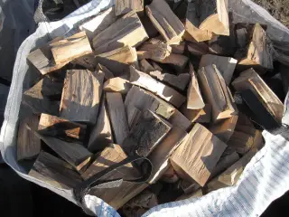 Træ