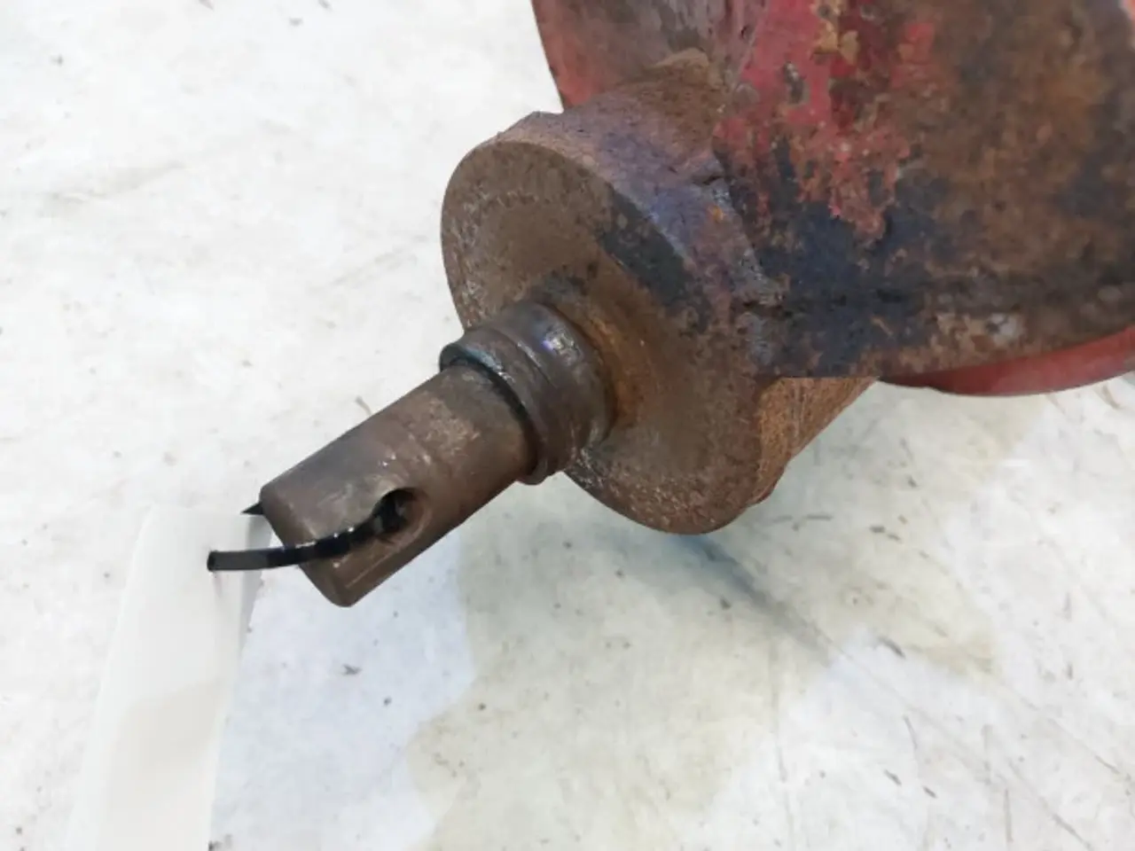 Billede 14 - Massey Ferguson 40 Snegl 28880021