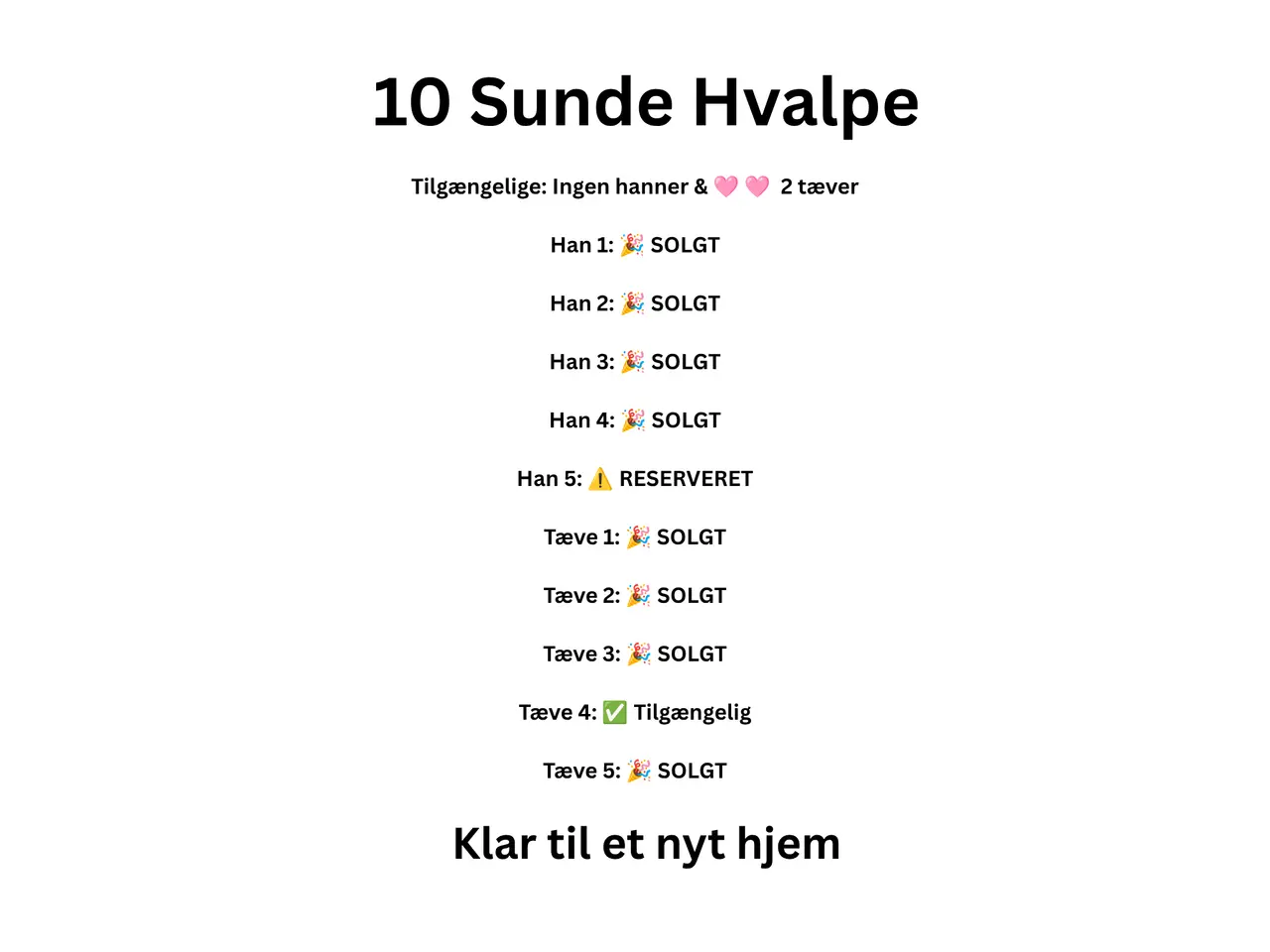 Billede 2 - 🩵🩷 🐶 Smukke Schæfer Blandingshvalpe