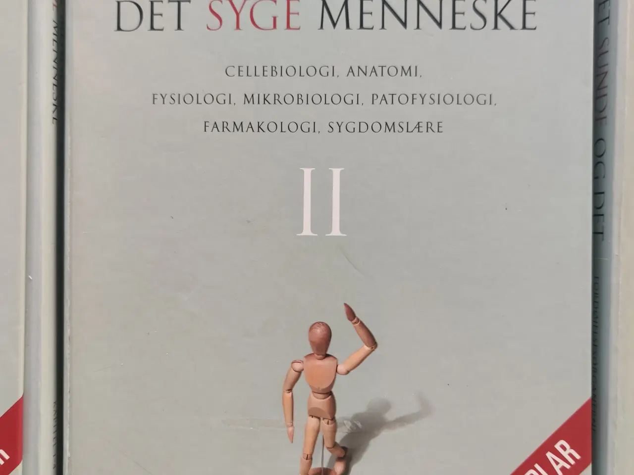 Billede 3 - Det sunde og det syge menneske - 1, 2, 3, 4, 5.
