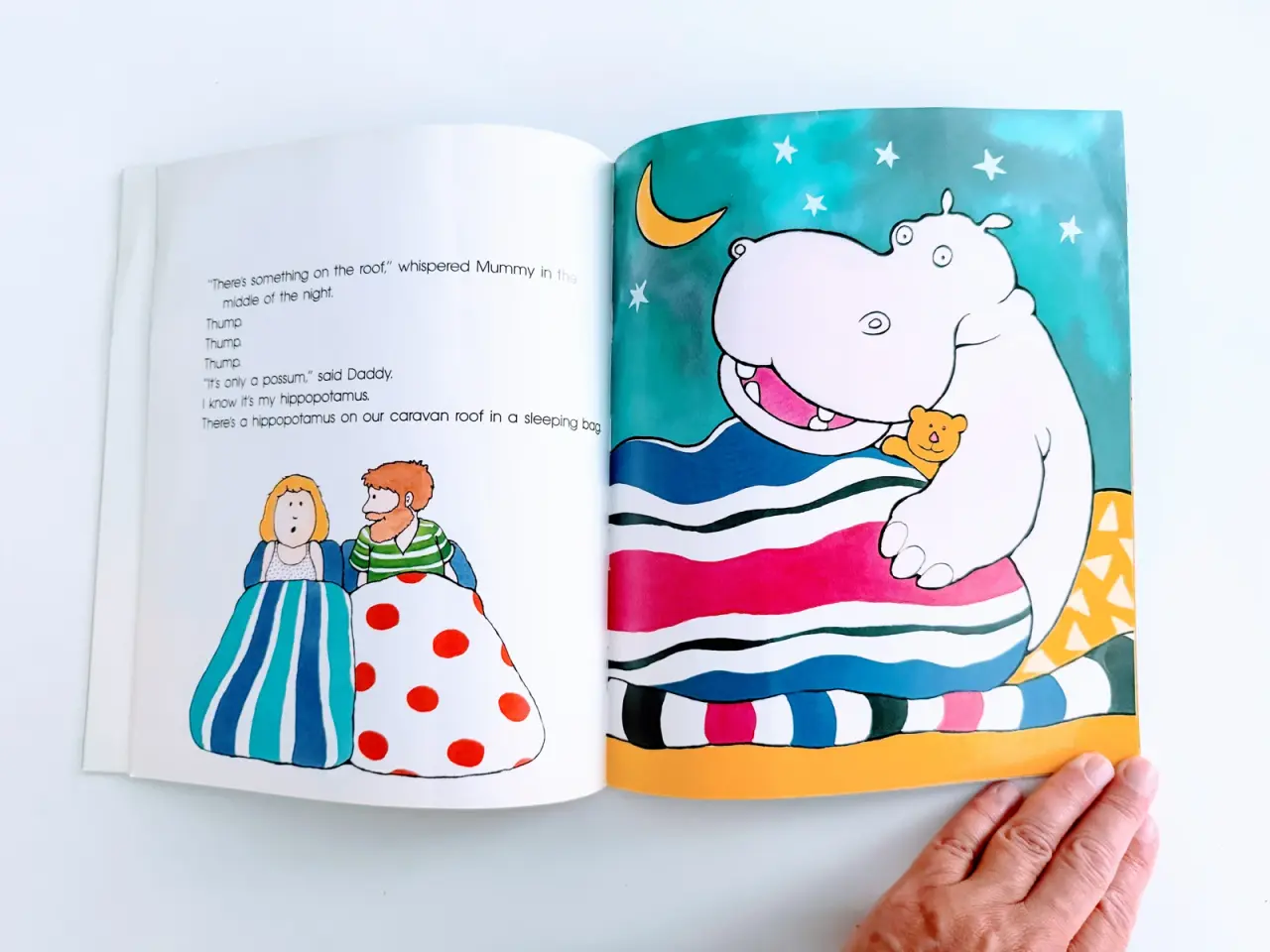Billede 9 - My Hippopotamus Is on Our Caravan Roof Getting Sun
