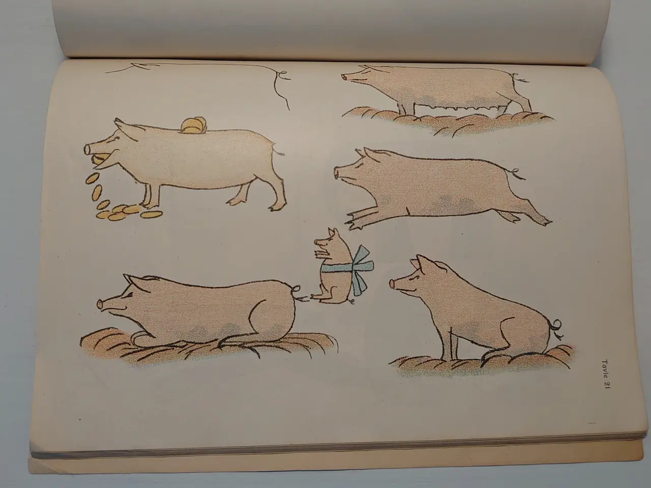 Billede 6 - Ejnar Gjessing: Typetegning. 1. hefte fra 1920.