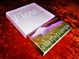 Flow, Lisbeth Ejlertsen,