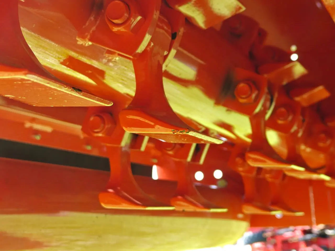 Billede 12 - Maschio Barbi 180