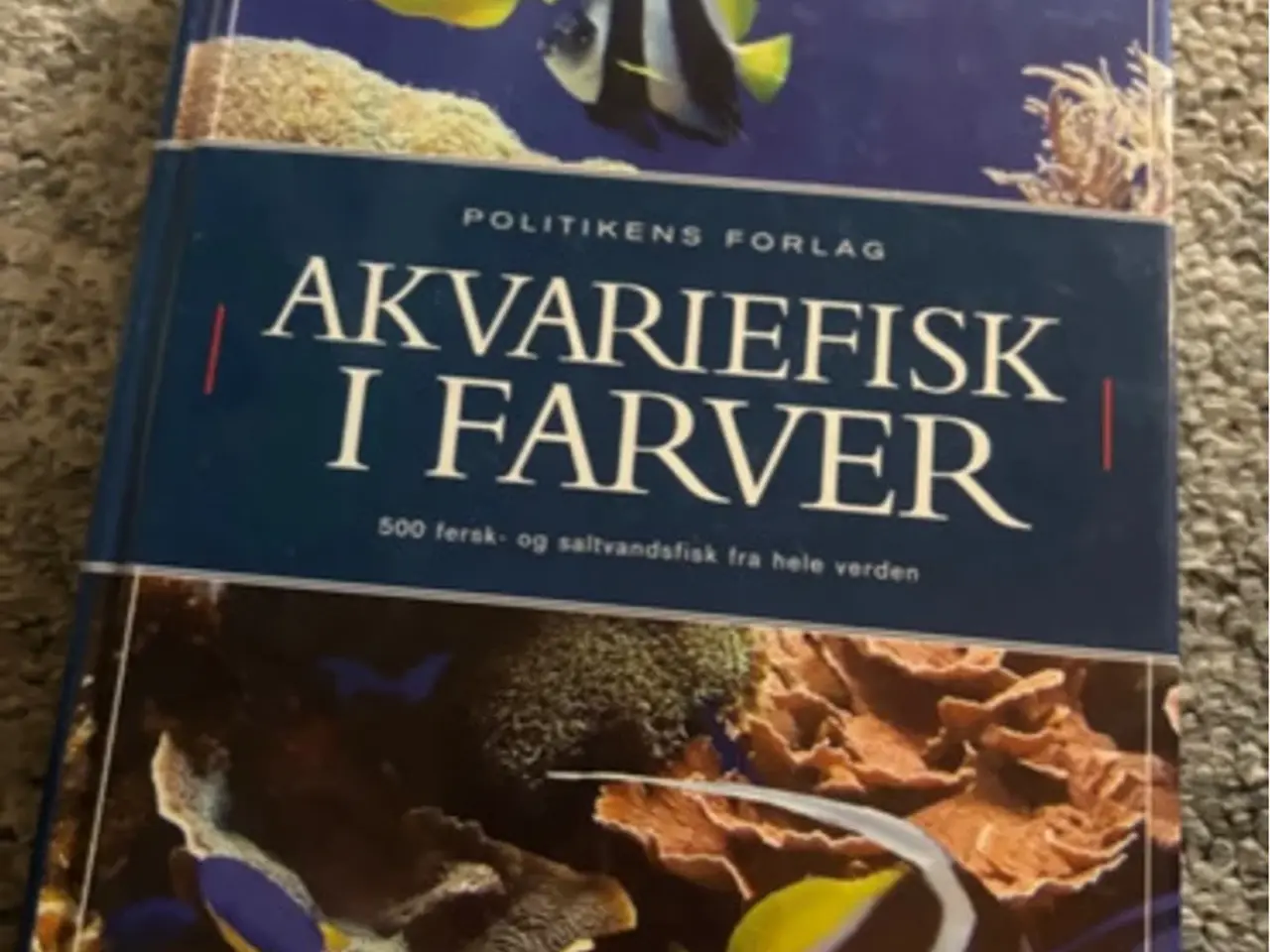 Billede 1 - Akvariefisk i farver