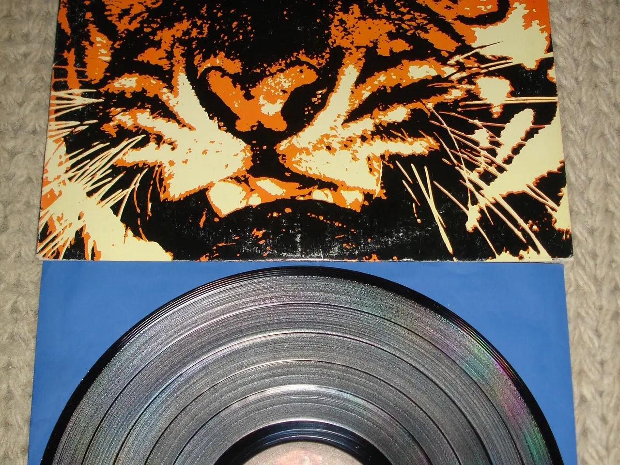 Billede 1 - (Sender gerne) Survivor – Eye Of The Tiger