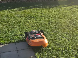 Worx 500 m2. med hus