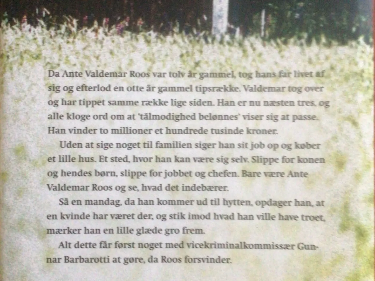 Billede 2 - Håkan Nesser : En fortælling om Hr. Roos