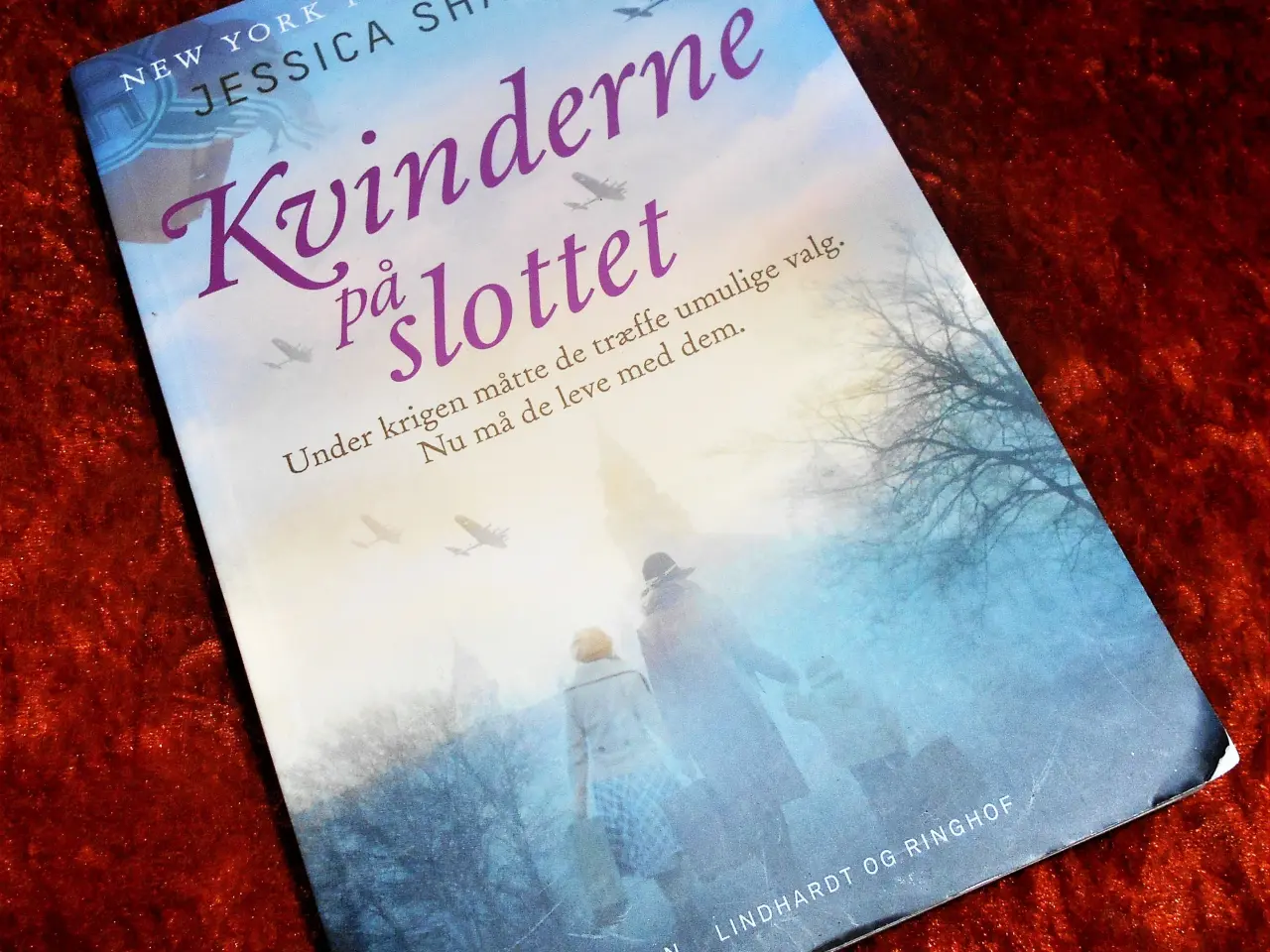 Billede 1 - Kvinderne på slottet, Jessica Shattuck