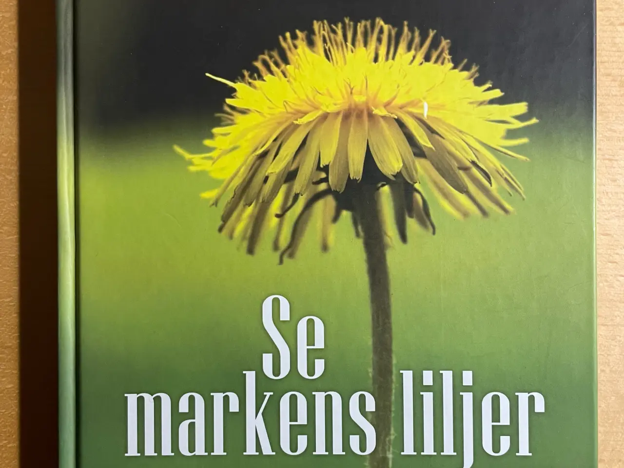 Billede 1 - Se markens liljer, Ditte Olsen
