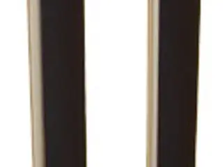 BeoLab 6000