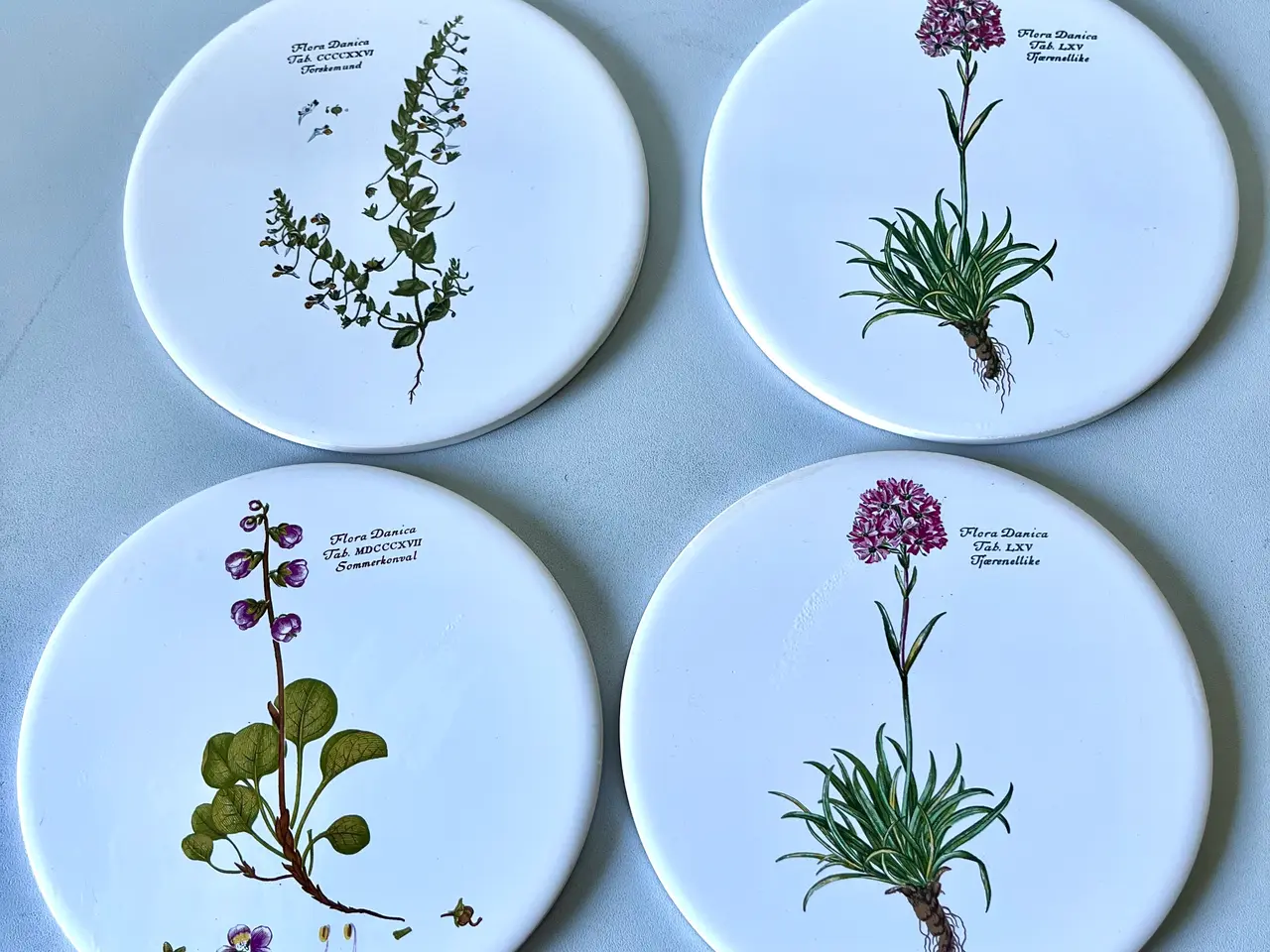 Billede 1 - Flora Danica
