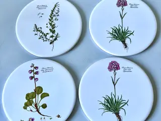Flora Danica