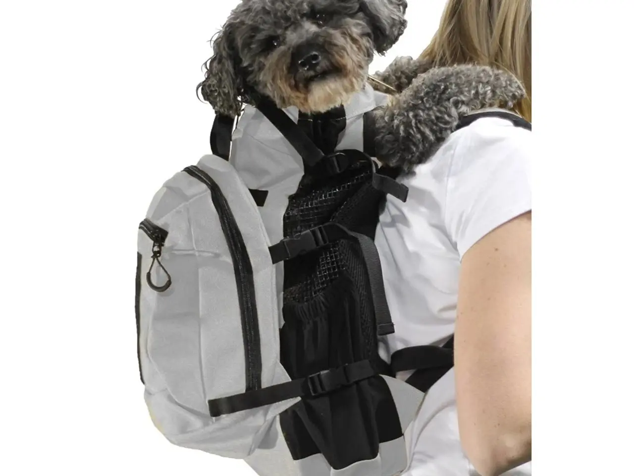 Billede 3 - Taske til hund