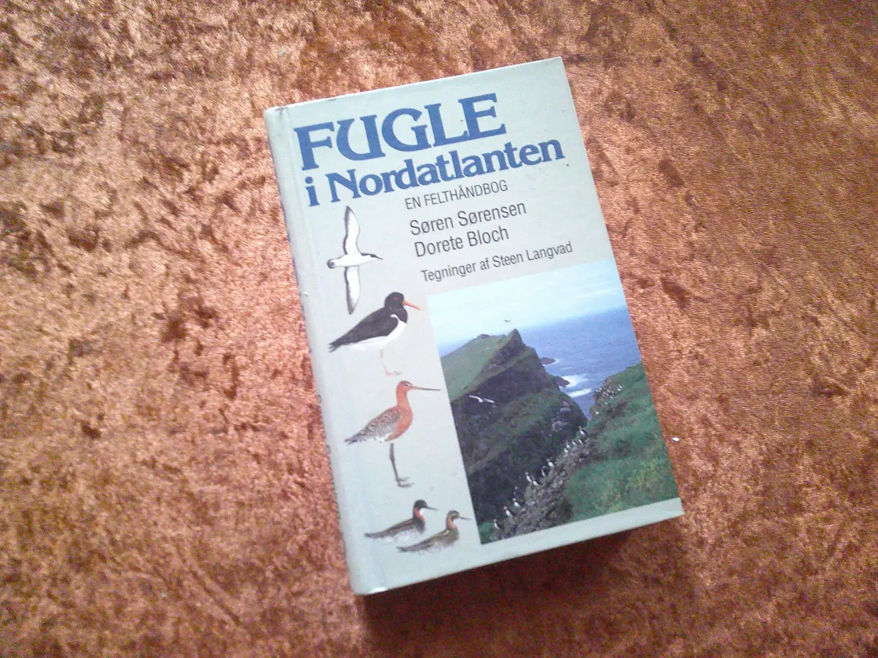 Billede 1 - Fugle i Nordatlanten, Søren Sørensen