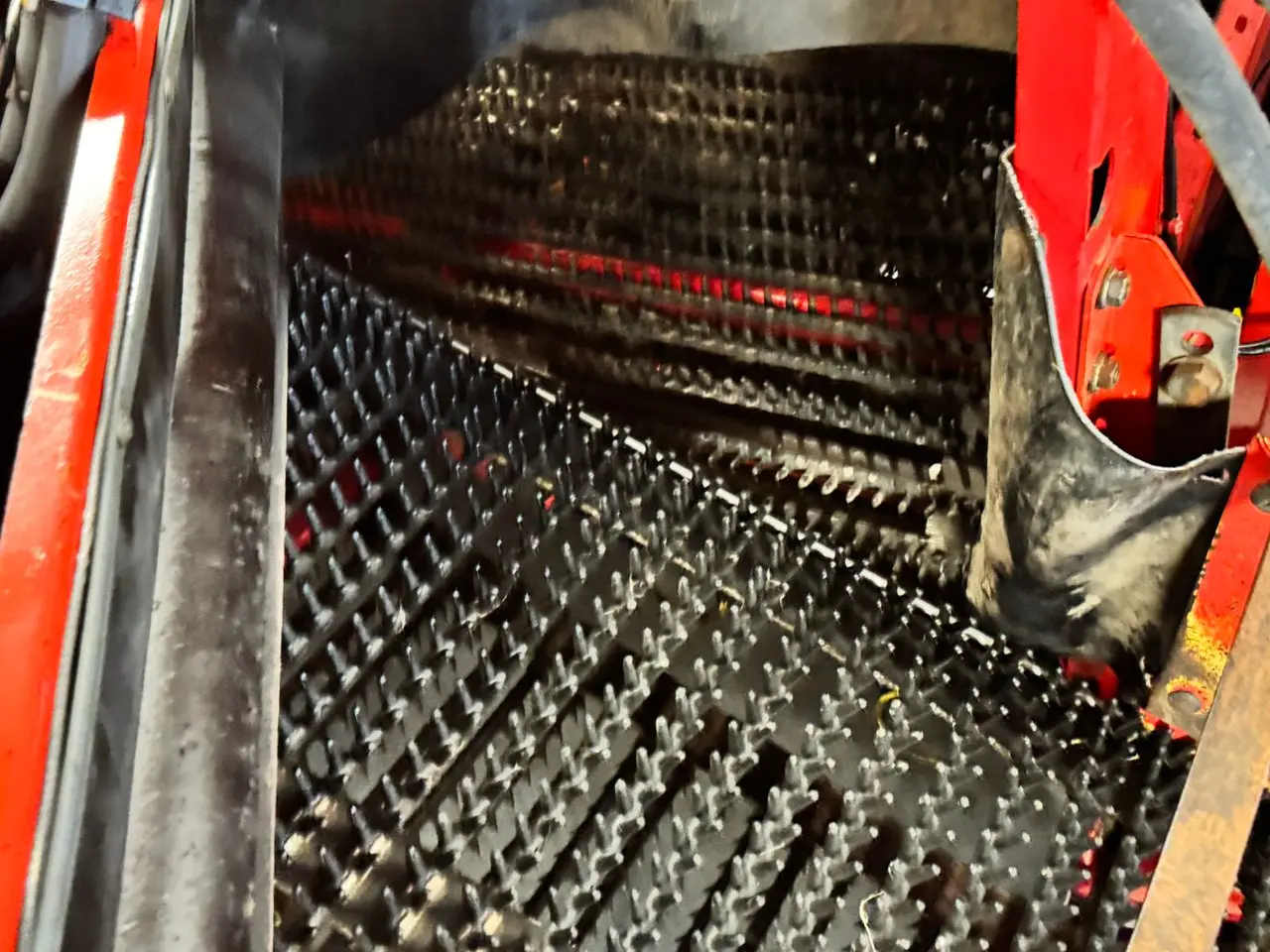 Billede 19 - Grimme SE 150-60