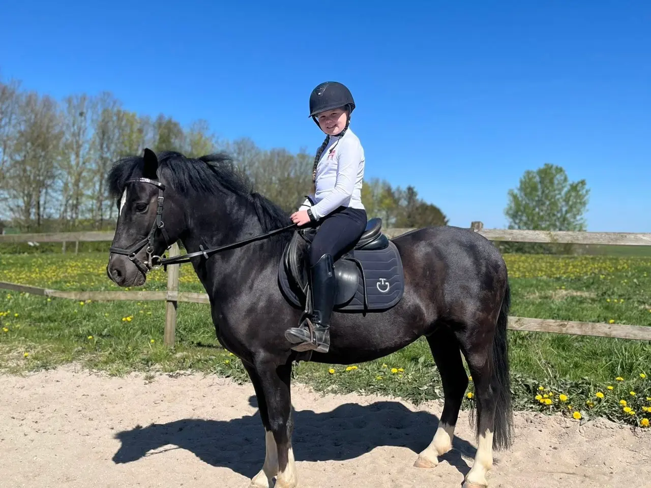 Billede 13 - Max kat 3,super børnepony