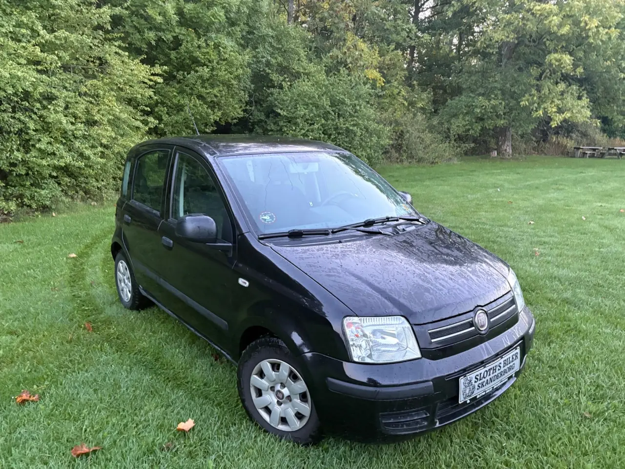Billede 6 - Fiat Panda 1,2 69 Dynamic