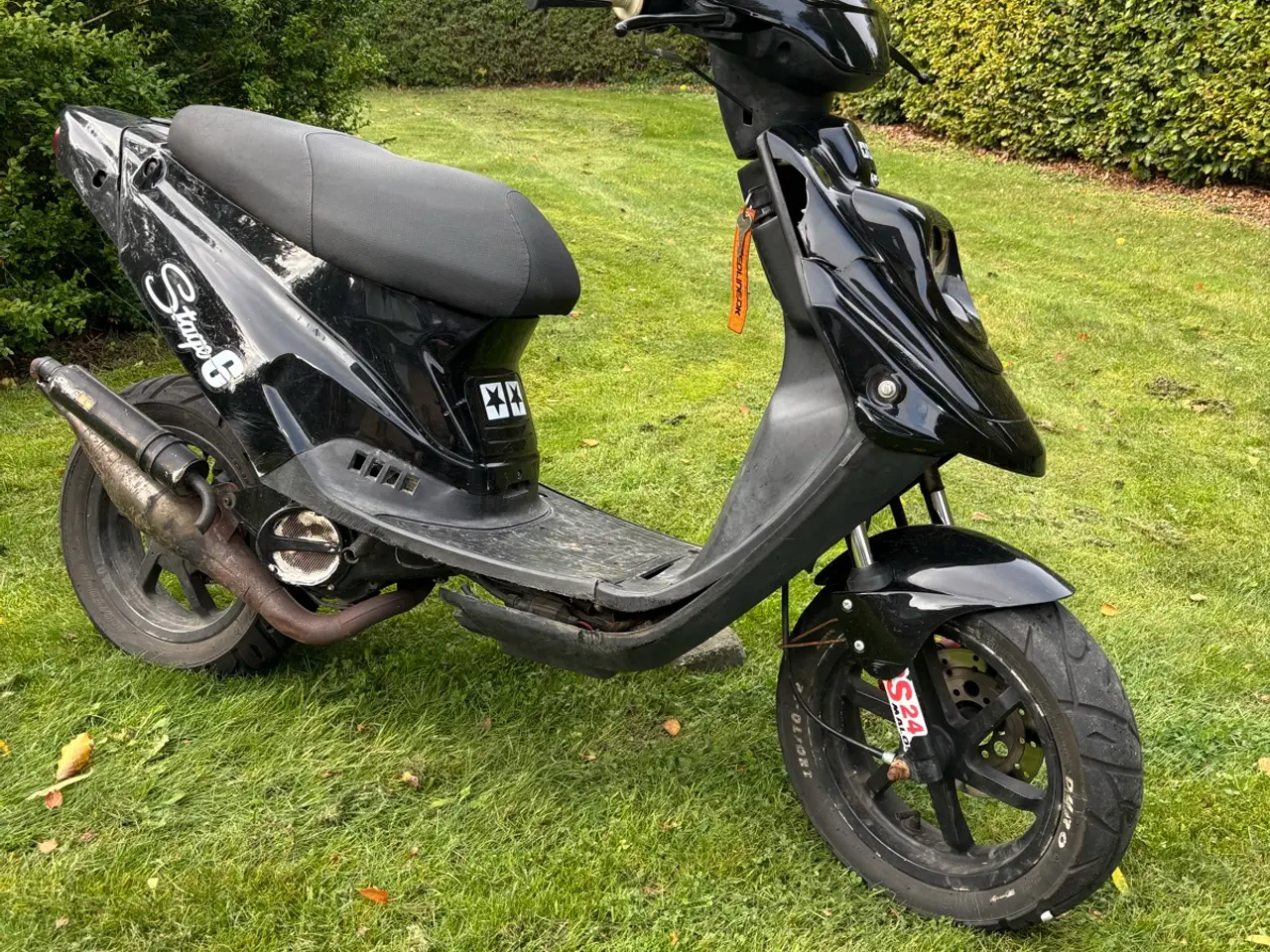 Billede 2 - Pgo hot 50
