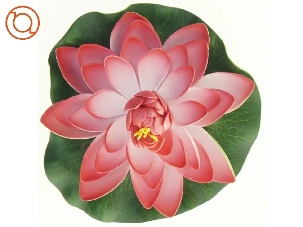 Billede 1 - Lotusblomst (str. 15 cm)