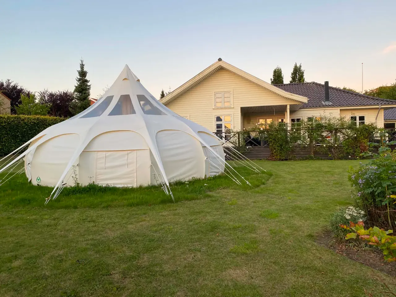 Billede 2 - Lotus Belle Stargazer 6 m