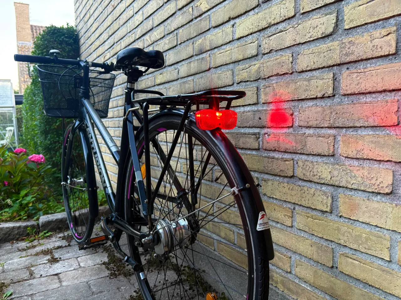 Billede 3 - Centurion Genesis Cykel