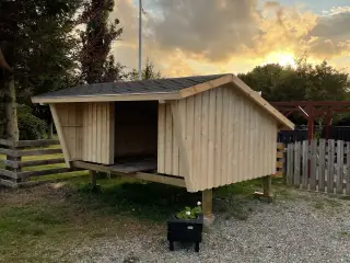 Shelter