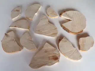 20 NYE assorterede Thuja Træskiver uden / med lidt