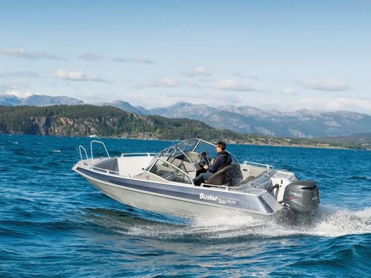 Billede 1 - Yamaha F225BETX