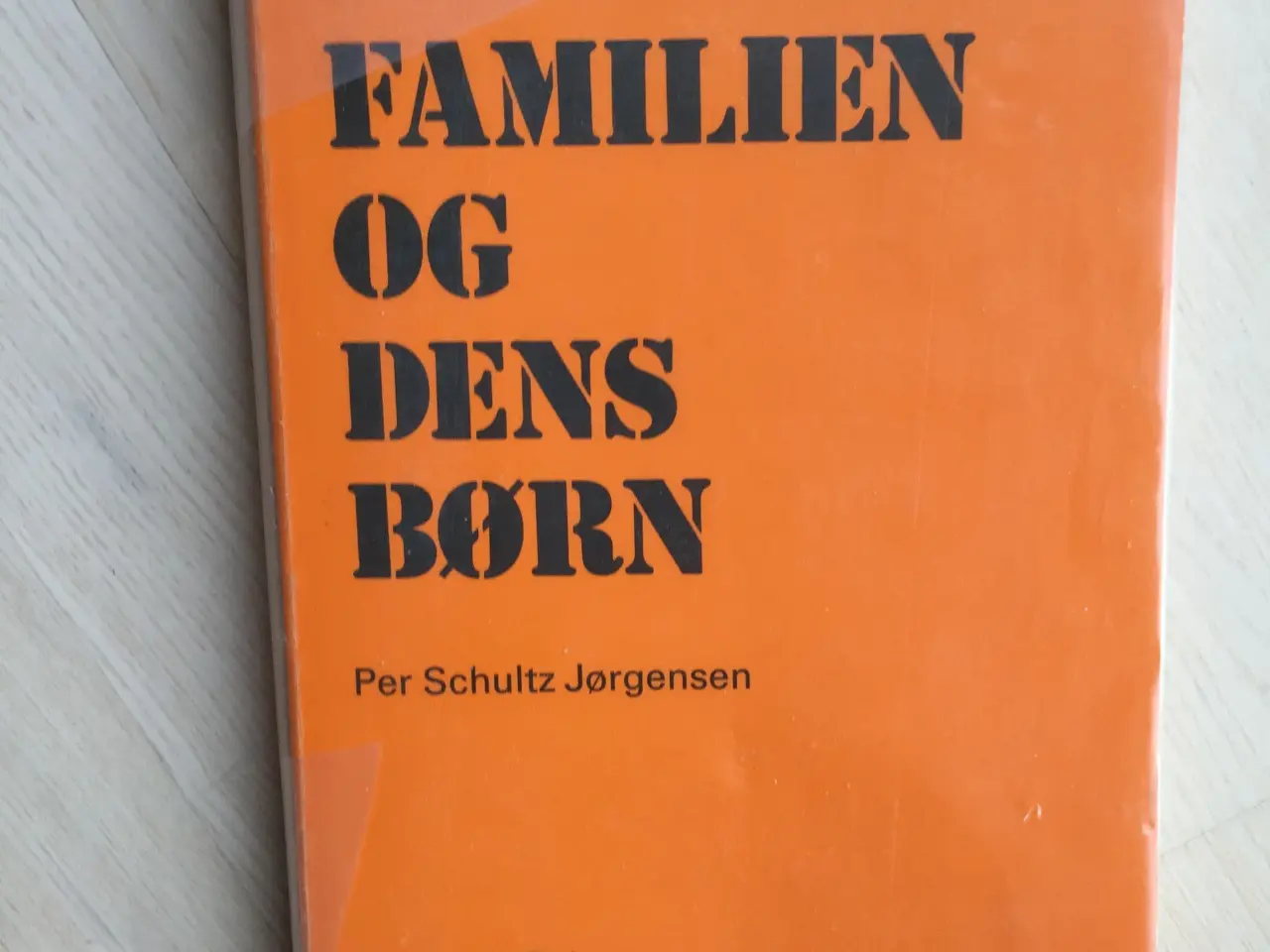 Billede 1 - Forbrugsfamilien og dens børn
