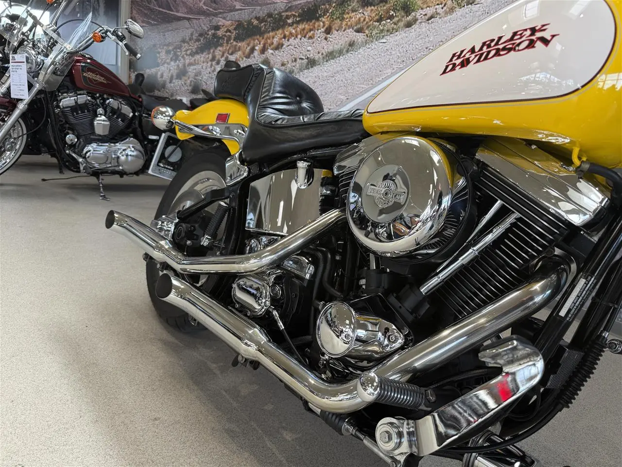 Billede 11 - Harley-Davidson FXSTC SOFTAIL CUSTOM 1340 Evo