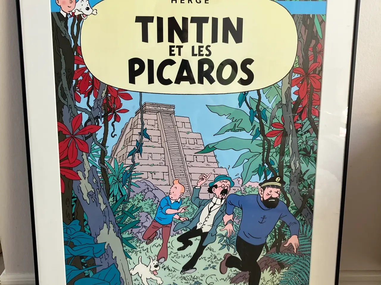 Billede 1 - Stor Tintin plakat (Tintin og Picaroerne) inkl. so