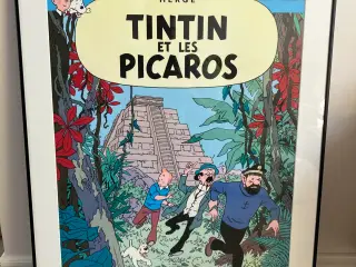 Stor Tintin plakat (Tintin og Picaroerne) inkl. so
