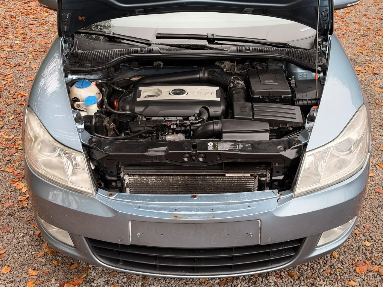Billede 22 - Skoda Octavia 1,8 TSi 160 Ambiente Combi DSG