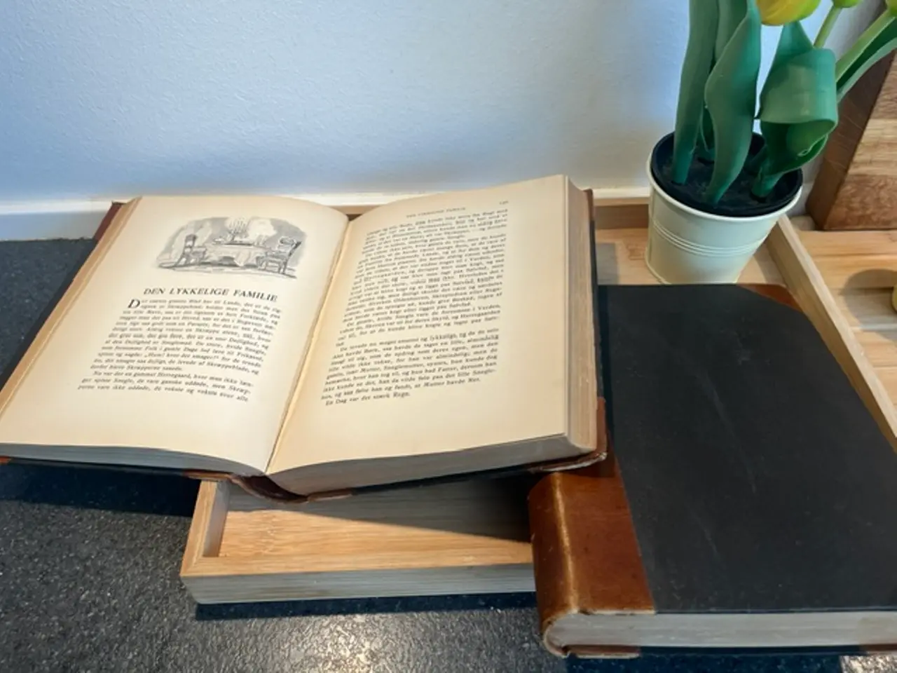 Billede 2 - H.C. Andersen: Eventyr og Historier Kunst-Udgave,